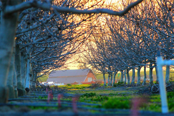 授权平台安全的云呼死你轰炸免费网页平台