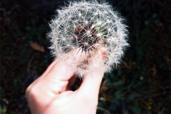 无人工发货的轰炸电话信息软件免费版