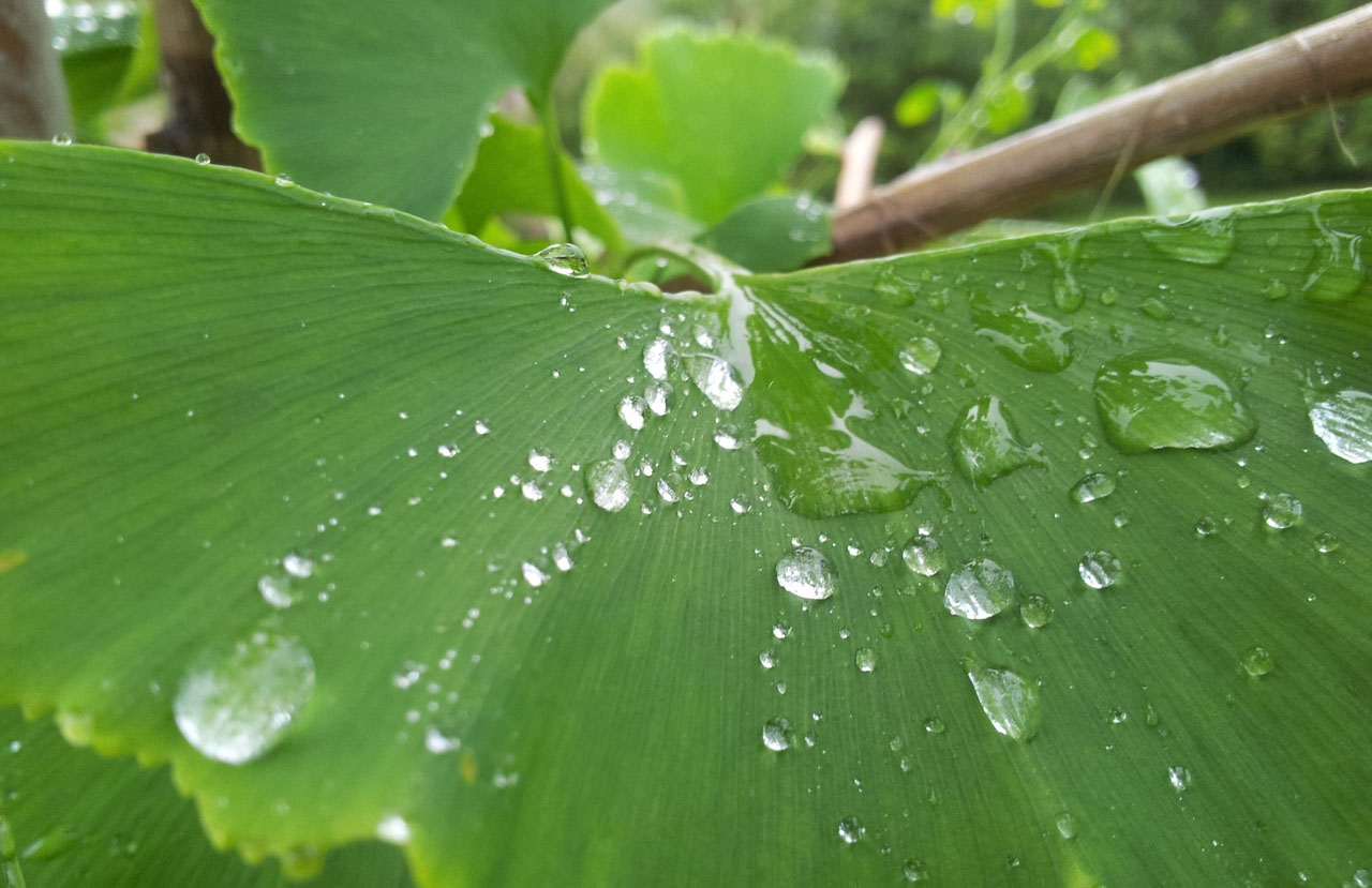 官方认证的短信免费轰炸网页